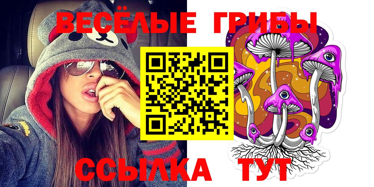 Россия  Галлюциногенные грибы GOLDEN TEACHER  купить наркоту  Вход с VPN 