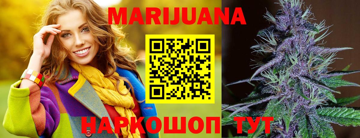 Бошки Шишки OG Kush  Конопля ГИДРОПОН  Каннабис планчик  Вход с VPN  Россия 